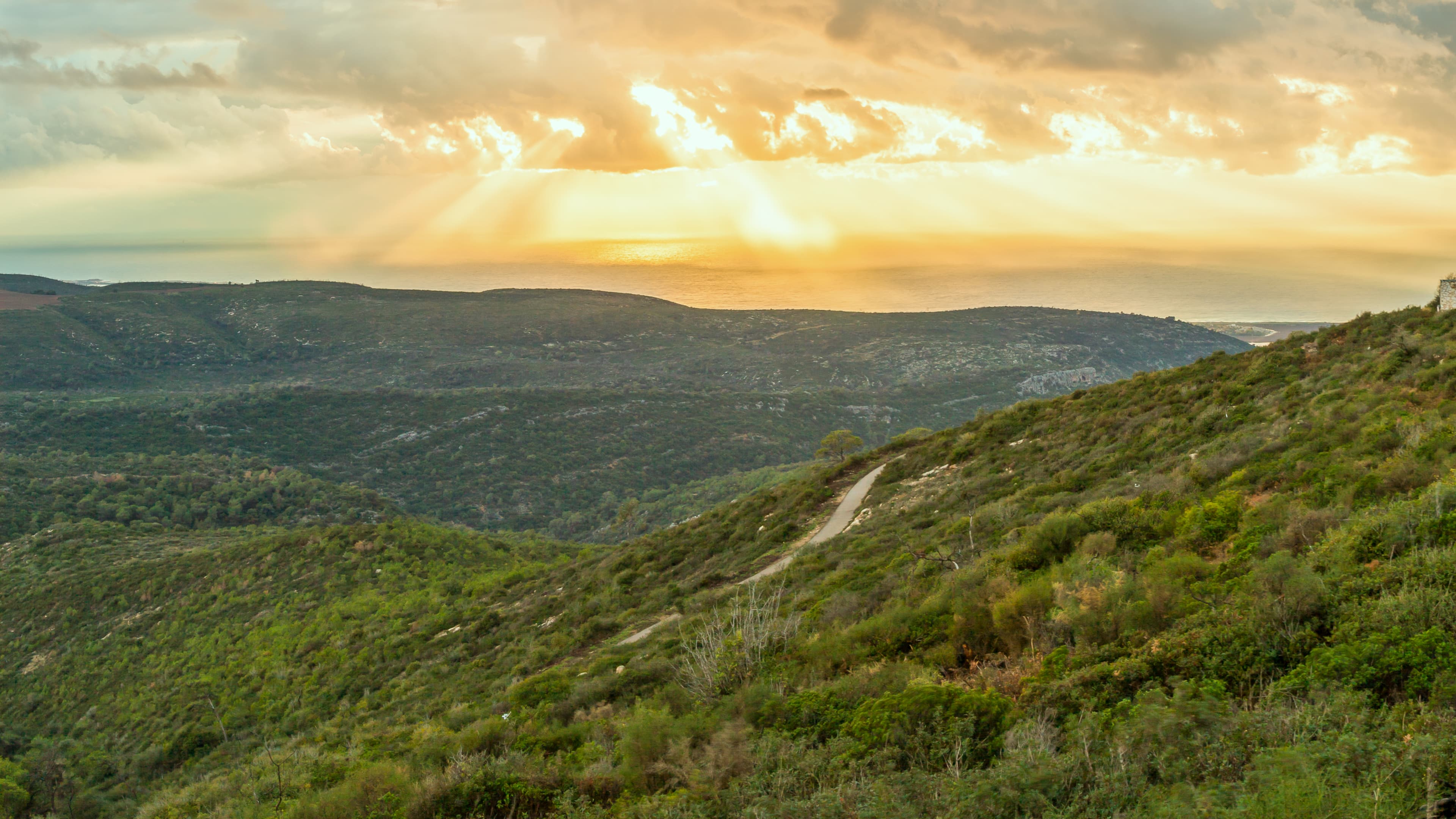 A Journey to Mount Carmel