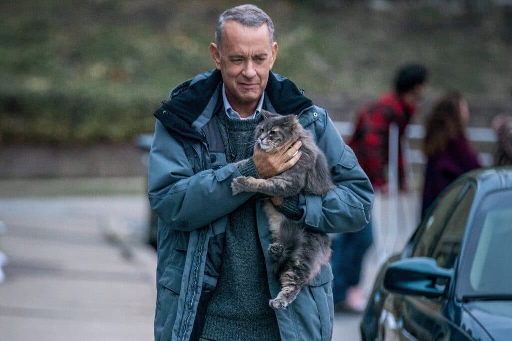 Home viewing roundup: What’s available to stream and what’s on the horizon