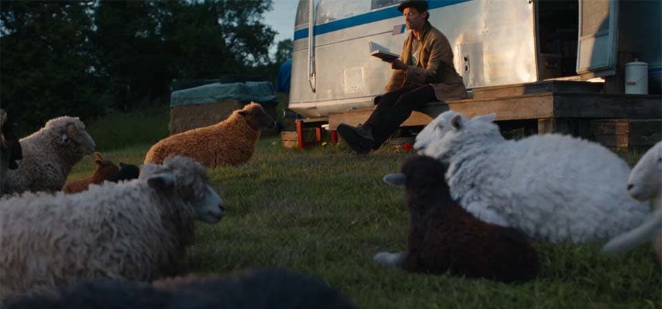 Babe meets Knives Out in delightful, well-made The Sheep Detectives