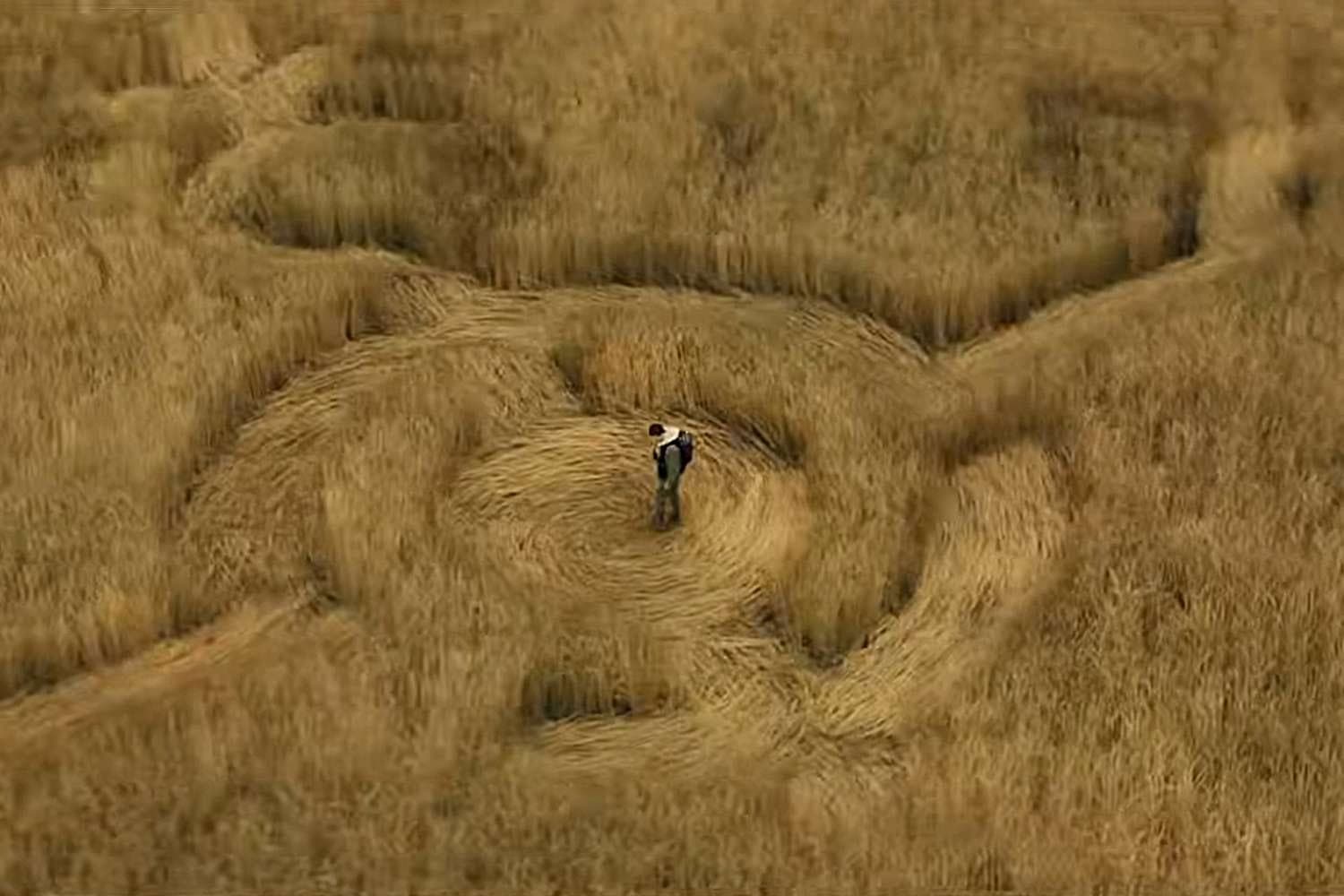5 Movies to Watch After Seeing 'Disclosure Day'